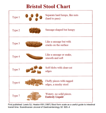 The Bristol Stool Chart which gives a scale of stool from Type 1 - separate hard lumps, like nuts (hard to pass) – to Type 7 – watery, no solid pieces. Entirely Liquid.